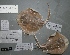  ( - 07-269)  @12 [ ] Unspecified (default): All Rights Reserved  Unspecified Unspecified