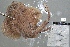  ( - 07-312)  @12 [ ] Unspecified (default): All Rights Reserved  Unspecified Unspecified