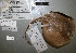  ( - 07-331)  @12 [ ] Unspecified (default): All Rights Reserved  Unspecified Unspecified
