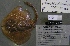  ( - 07-341)  @13 [ ] Unspecified (default): All Rights Reserved  Unspecified Unspecified