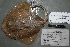  ( - 07-343)  @12 [ ] Unspecified (default): All Rights Reserved  Unspecified Unspecified