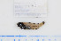  ( - 07-503)  @12 [ ] Unspecified (default): All Rights Reserved  Unspecified Unspecified