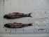  ( - 07-531)  @13 [ ] Unspecified (default): All Rights Reserved  Unspecified Unspecified