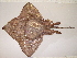  ( - 07-185)  @14 [ ] Unspecified (default): All Rights Reserved  Unspecified Unspecified
