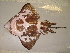  ( - 07-185)  @14 [ ] Unspecified (default): All Rights Reserved  Unspecified Unspecified