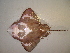  ( - 07-186)  @14 [ ] Unspecified (default): All Rights Reserved  Unspecified Unspecified