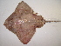  ( - 07-186)  @14 [ ] Unspecified (default): All Rights Reserved  Unspecified Unspecified