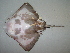  ( - 07-188)  @14 [ ] Unspecified (default): All Rights Reserved  Unspecified Unspecified