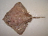  ( - 07-188)  @14 [ ] Unspecified (default): All Rights Reserved  Unspecified Unspecified
