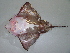  ( - 07-189)  @14 [ ] Unspecified (default): All Rights Reserved  Unspecified Unspecified
