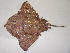  ( - 07-189)  @14 [ ] Unspecified (default): All Rights Reserved  Unspecified Unspecified