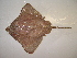  ( - 07-190)  @14 [ ] Unspecified (default): All Rights Reserved  Unspecified Unspecified