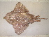  ( - 07-192)  @14 [ ] Unspecified (default): All Rights Reserved  Unspecified Unspecified
