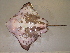  ( - 07-193)  @14 [ ] Unspecified (default): All Rights Reserved  Unspecified Unspecified