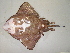  ( - 07-194)  @14 [ ] Unspecified (default): All Rights Reserved  Unspecified Unspecified