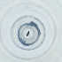  ( - CAMP_021_B12)  @11 [ ] by  Genome Research Ltd as Wellcome Sanger Institute Genome Research Limited operating as Wellcome Sanger Institute