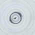  ( - CAMP_022_C5)  @11 [ ] by  Genome Research Ltd as Wellcome Sanger Institute Genome Research Limited operating as Wellcome Sanger Institute