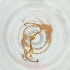  ( - CAMP_024_H8)  @11 [ ] by  Genome Research Ltd as Wellcome Sanger Institute Genome Research Limited operating as Wellcome Sanger Institute