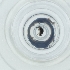  ( - CAMP_030_E9)  @11 [ ] by  Genome Research Ltd as Wellcome Sanger Institute Genome Research Limited operating as Wellcome Sanger Institute