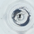  ( - CAMP_037_G6)  @11 [ ] by  Genome Research Ltd as Wellcome Sanger Institute Genome Research Limited operating as Wellcome Sanger Institute