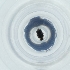  ( - CAMP_042_H5)  @11 [ ] by  Genome Research Ltd as Wellcome Sanger Institute Genome Research Limited operating as Wellcome Sanger Institute
