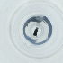  ( - CAMP_050_G3)  @11 [ ] by  Genome Research Ltd as Wellcome Sanger Institute Genome Research Limited operating as Wellcome Sanger Institute