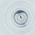  ( - CAMP_051_D2)  @11 [ ] by  Genome Research Ltd as Wellcome Sanger Institute Genome Research Limited operating as Wellcome Sanger Institute