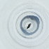  ( - CAMP_055_F5)  @11 [ ] by  Genome Research Ltd as Wellcome Sanger Institute Genome Research Limited operating as Wellcome Sanger Institute