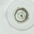  ( - CAMP_062_F7)  @11 [ ] by  Genome Research Ltd as Wellcome Sanger Institute Genome Research Limited operating as Wellcome Sanger Institute