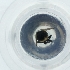  ( - CAMP_063_F5)  @11 [ ] by  Genome Research Ltd as Wellcome Sanger Institute Genome Research Limited operating as Wellcome Sanger Institute