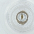  ( - CAMP_069_F12)  @11 [ ] by  Genome Research Ltd as Wellcome Sanger Institute Genome Research Limited operating as Wellcome Sanger Institute