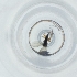  ( - CAMP_070_C1)  @11 [ ] by  Genome Research Ltd as Wellcome Sanger Institute Genome Research Limited operating as Wellcome Sanger Institute