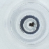  ( - CAMP_070_G3)  @11 [ ] by  Genome Research Ltd as Wellcome Sanger Institute Genome Research Limited operating as Wellcome Sanger Institute
