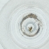  ( - CAMP_079_D4)  @11 [ ] by  Genome Research Ltd as Wellcome Sanger Institute Genome Research Limited operating as Wellcome Sanger Institute