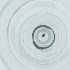  ( - CAMP_081_D5)  @11 [ ] by  Genome Research Ltd as Wellcome Sanger Institute Genome Research Limited operating as Wellcome Sanger Institute