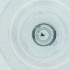  ( - CAMP_081_G8)  @11 [ ] by  Genome Research Ltd as Wellcome Sanger Institute Genome Research Limited operating as Wellcome Sanger Institute