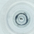  ( - CAMP_083_H2)  @11 [ ] by  Genome Research Ltd as Wellcome Sanger Institute Genome Research Limited operating as Wellcome Sanger Institute