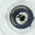  ( - CAMP_090_D2)  @11 [ ] by  Genome Research Ltd as Wellcome Sanger Institute Genome Research Limited operating as Wellcome Sanger Institute