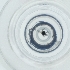  ( - CAMP_090_F6)  @11 [ ] by  Genome Research Ltd as Wellcome Sanger Institute Genome Research Limited operating as Wellcome Sanger Institute