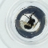  ( - CAMP_092_B8)  @11 [ ] by  Genome Research Ltd as Wellcome Sanger Institute Genome Research Limited operating as Wellcome Sanger Institute