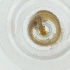  ( - CAMP_093_D12)  @11 [ ] by  Genome Research Ltd as Wellcome Sanger Institute Genome Research Limited operating as Wellcome Sanger Institute