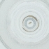  ( - CAMP_101_C6)  @11 [ ] by  Genome Research Ltd as Wellcome Sanger Institute Genome Research Limited operating as Wellcome Sanger Institute