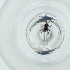  ( - CAMP_104_D7)  @11 [ ] by  Genome Research Ltd as Wellcome Sanger Institute Genome Research Limited operating as Wellcome Sanger Institute