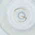  (CecidIntGen - CAMP_105_C9)  @11 [ ] by  Genome Research Ltd as Wellcome Sanger Institute Genome Research Limited operating as Wellcome Sanger Institute