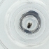  ( - CAMP_109_B4)  @11 [ ] by  Genome Research Ltd as Wellcome Sanger Institute Genome Research Limited operating as Wellcome Sanger Institute