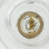  ( - CAMP_115_B11)  @11 [ ] by  Genome Research Ltd as Wellcome Sanger Institute Genome Research Limited operating as Wellcome Sanger Institute