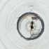  ( - CAMP_116_D9)  @11 [ ] by  Genome Research Ltd as Wellcome Sanger Institute Genome Research Limited operating as Wellcome Sanger Institute