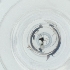  ( - CAMP_116_G1)  @11 [ ] by  Genome Research Ltd as Wellcome Sanger Institute Genome Research Limited operating as Wellcome Sanger Institute