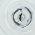  ( - CAMP_117_D10)  @11 [ ] by  Genome Research Ltd as Wellcome Sanger Institute Genome Research Limited operating as Wellcome Sanger Institute