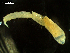  ( - AB1-AMP694)  @11 [ ] CreativeCommons - Attribution Non-Commercial Share-Alike (2016) Inga Mohrbeck Deutsches Zentrum fuer Marine Biodiversitaetsforschung